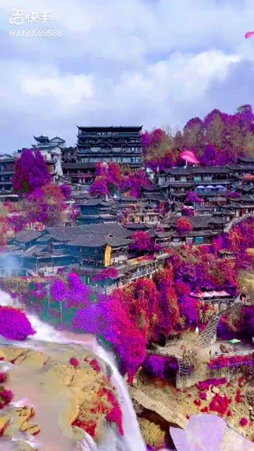花与剑