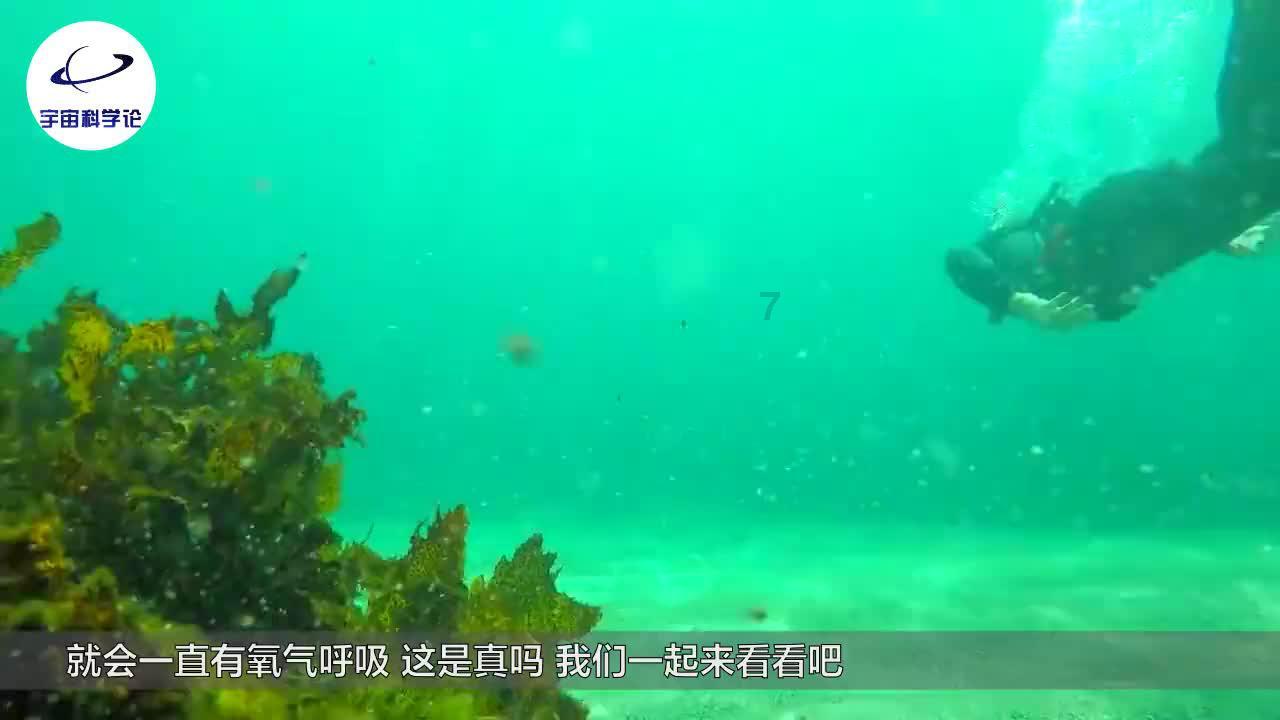 植物大战僵尸3